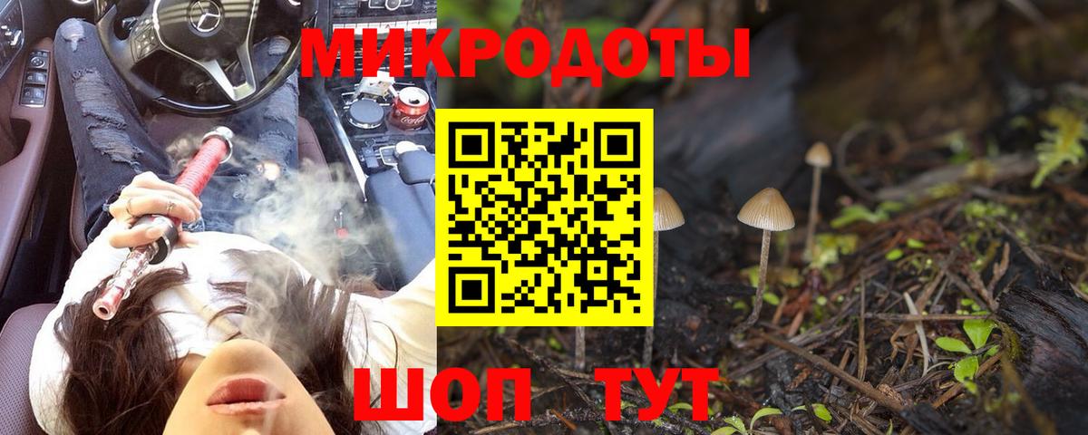 Галлюциногенные грибы Psilocybe  Вход с VPN  где можно купить наркотик  Донской  Галлюциногенные грибы Psilocybe 